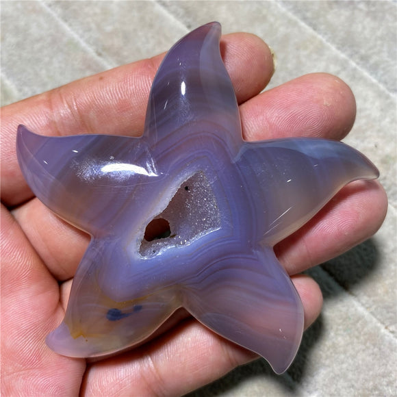 Starfish Agate Statue Natural Stone And Crystal Shell